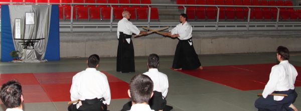 2016 Curso Nacional Aikido Aikikai - José María Martínez Zufia - Alicante - Kumitachi
